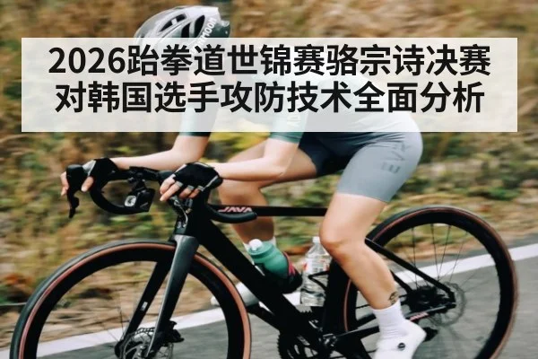 2026跆拳道世锦赛骆宗诗决赛对韩国选手攻防技术全面分析